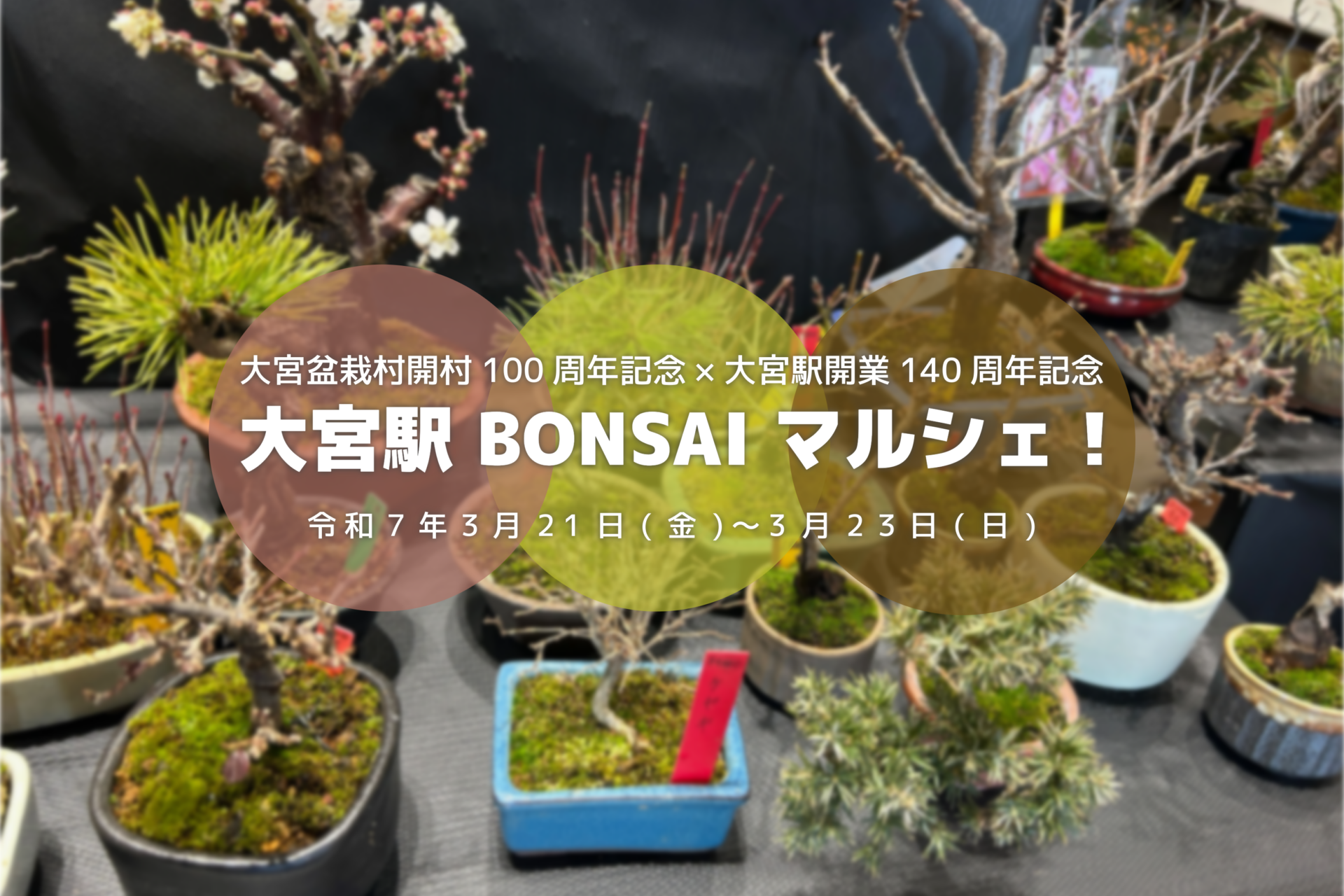 大宮駅 BONSAI マルシェ！」大宮盆栽村開村100周年記念×大宮駅開業140