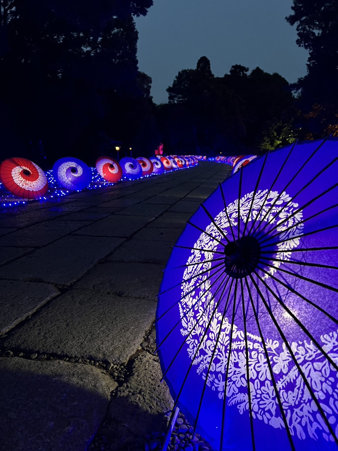 武蔵一宮氷川神社 七夕の時期 楼門、参道のライトアップ 和傘と光が