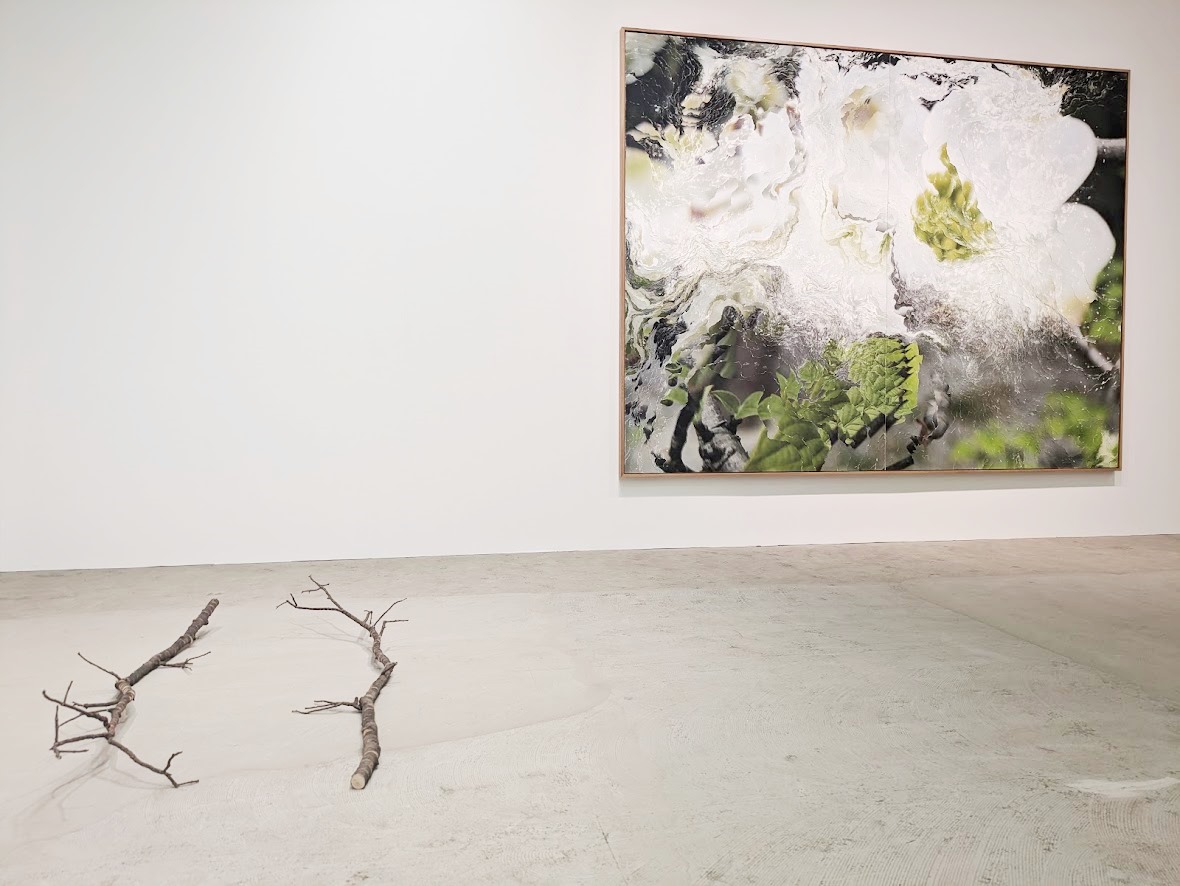 レポート】「Nerhol 種蒔きと烏 Misreading Righteousness」埼玉県立