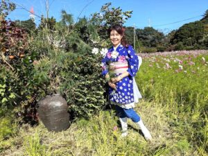岩槻　鹿室　かなむろ　コスモスのさんぽ路　みち