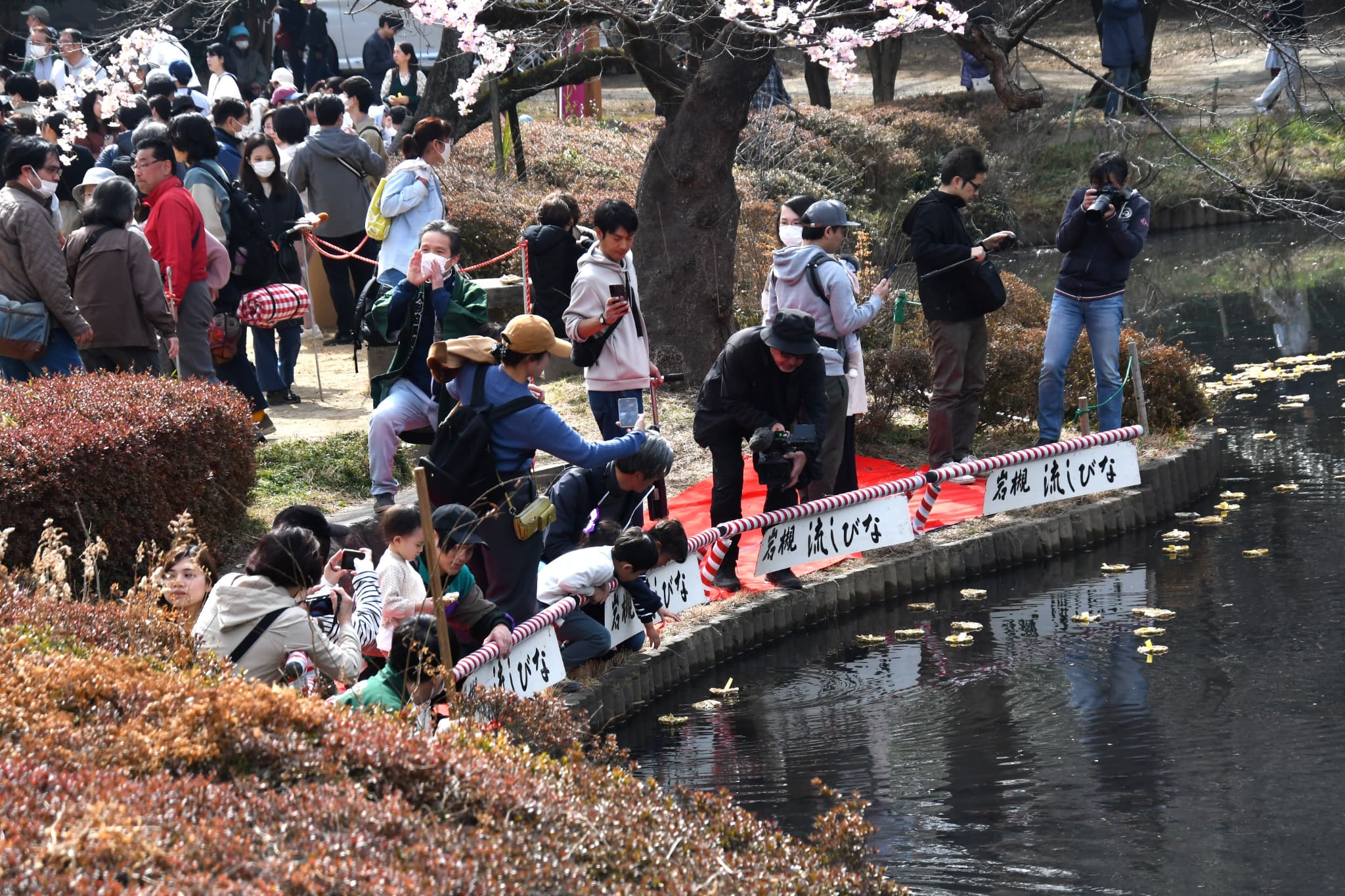 岩槻城址公園で「2026 人形のまち岩槻流しびな」願い事を書いて菖蒲池